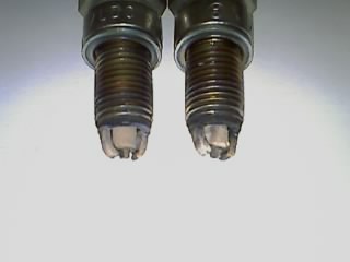 20110503_351.jpg