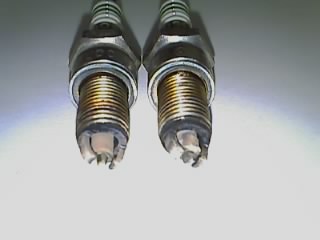 20110503_352.jpg