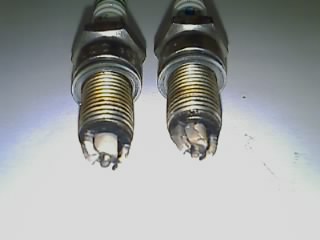 20110503_353.jpg