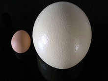 220px-Inselei_BMK.jpg