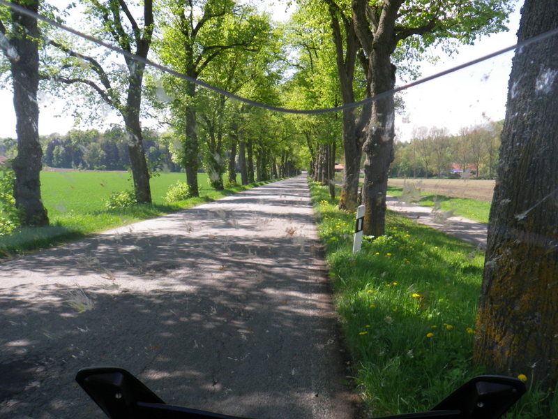 IMGP3882.JPG