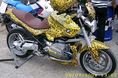 r1200 katze.jpg