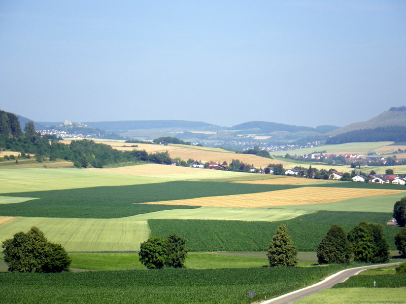 IMGP5078.JPG