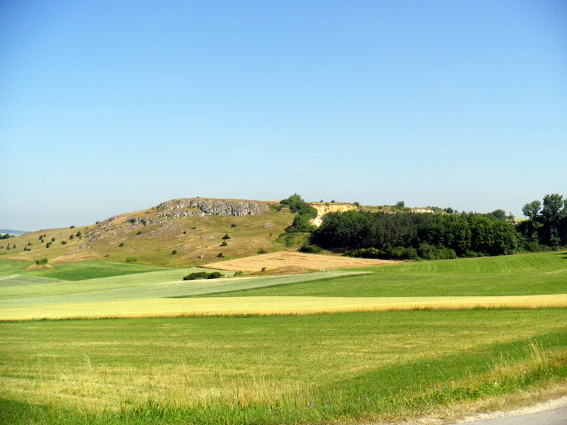 IMGP5076.JPG