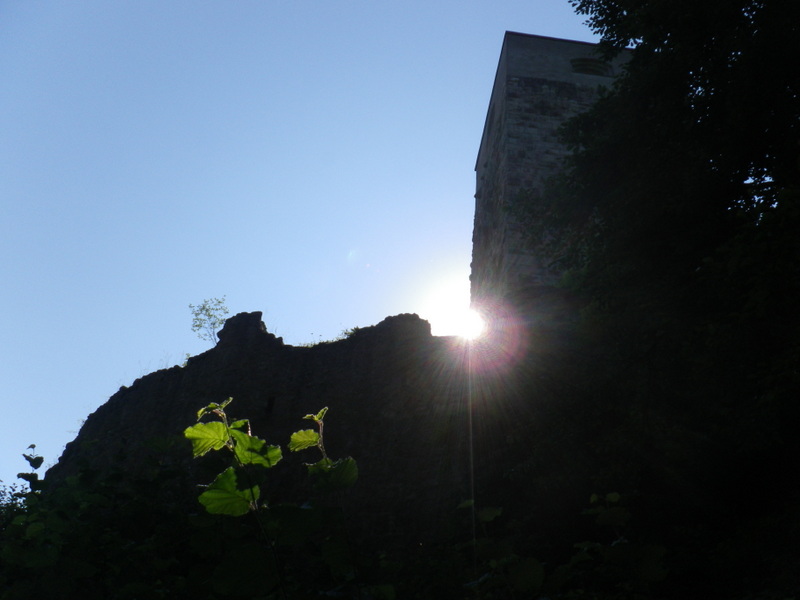 IMGP5093.JPG