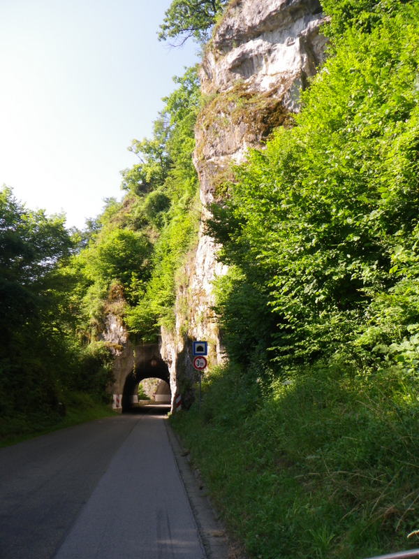 IMGP5096.JPG