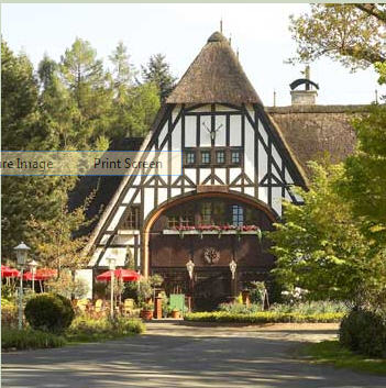 Cafe in Torhaus.jpg