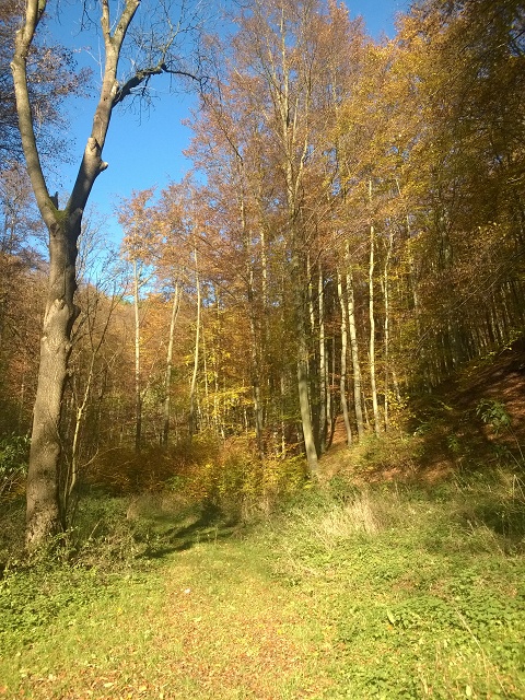 Auch ohne Q ein schöner Blick2.jpg