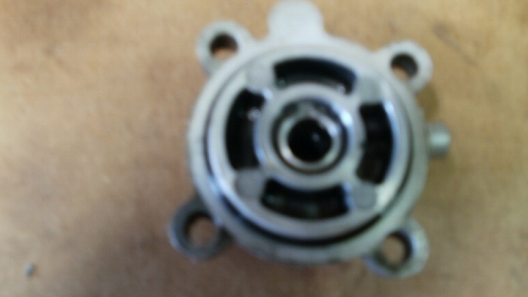 P4290004.JPG