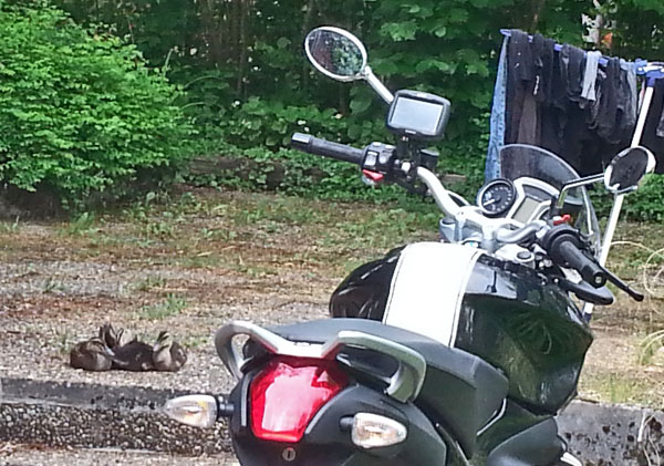 20150524_162444_600px.jpg