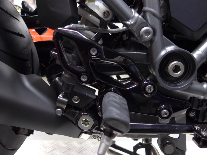 IMG_1255.JPG