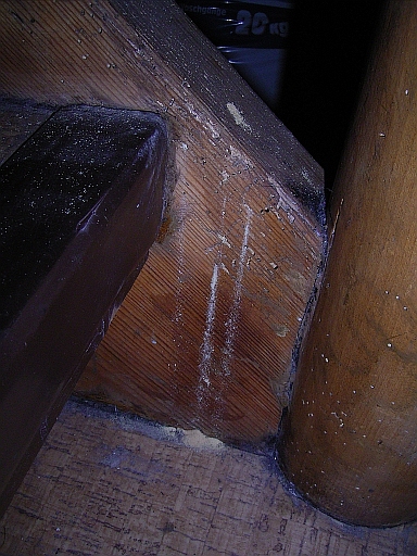 Holzwurm.jpg