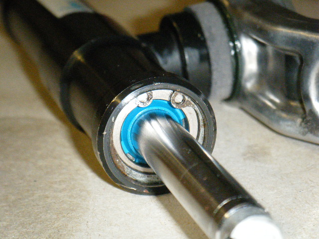 DSCF2815.JPG