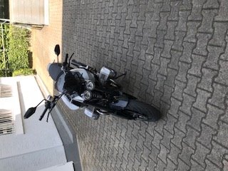 IMG_0733.jpg