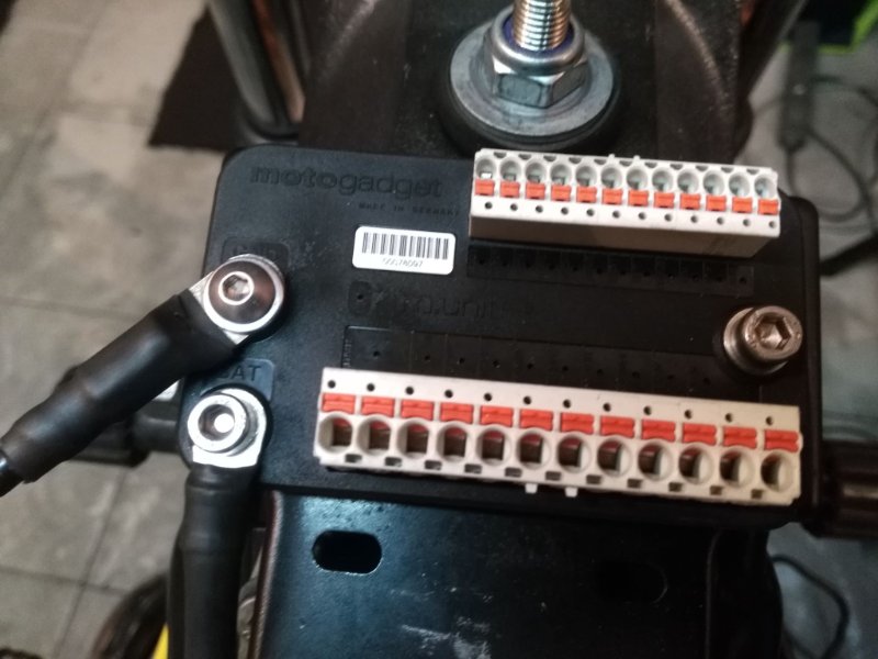 41058183_530843670691593_4766797130234855424_n.jpg