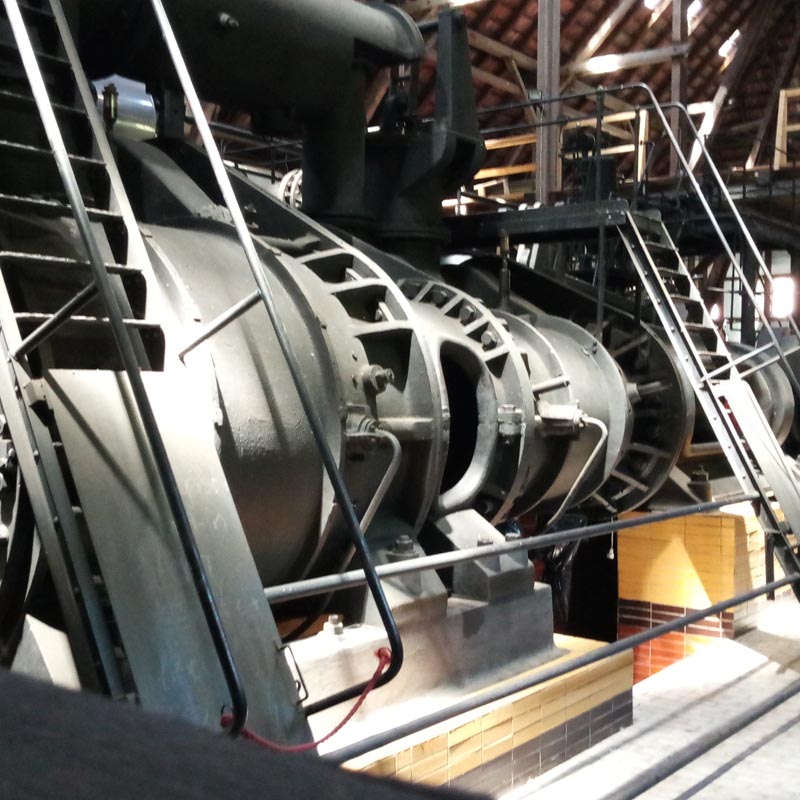 RIESENDINGSBUMS.jpg