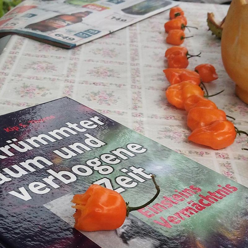 Habanero.jpg