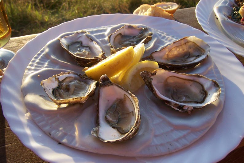 Anstatt Fischbrötchen